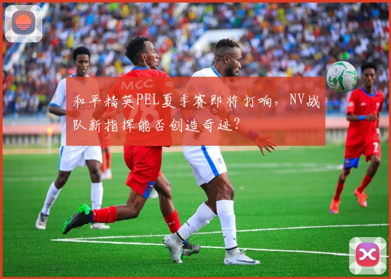 和平精英PEL夏季赛即将打响,NV战队新指挥能否创造奇迹?